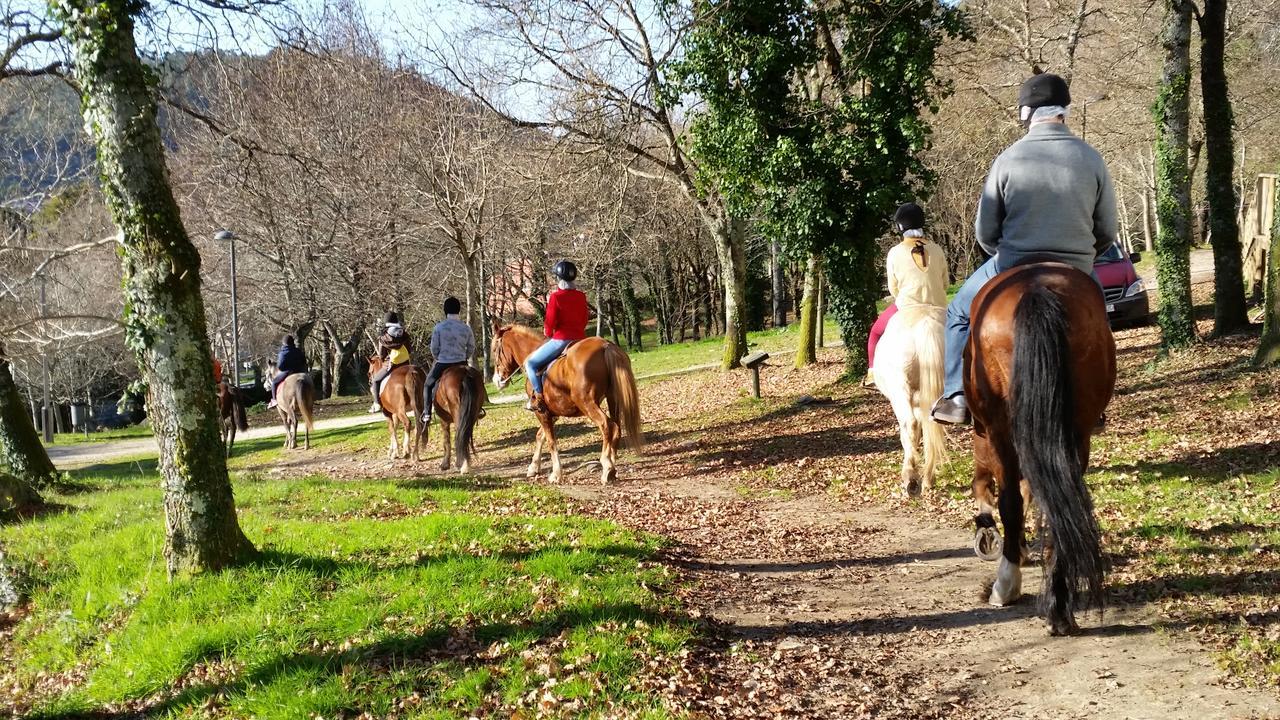 Cabanas Ecoparque Marín מראה חיצוני תמונה